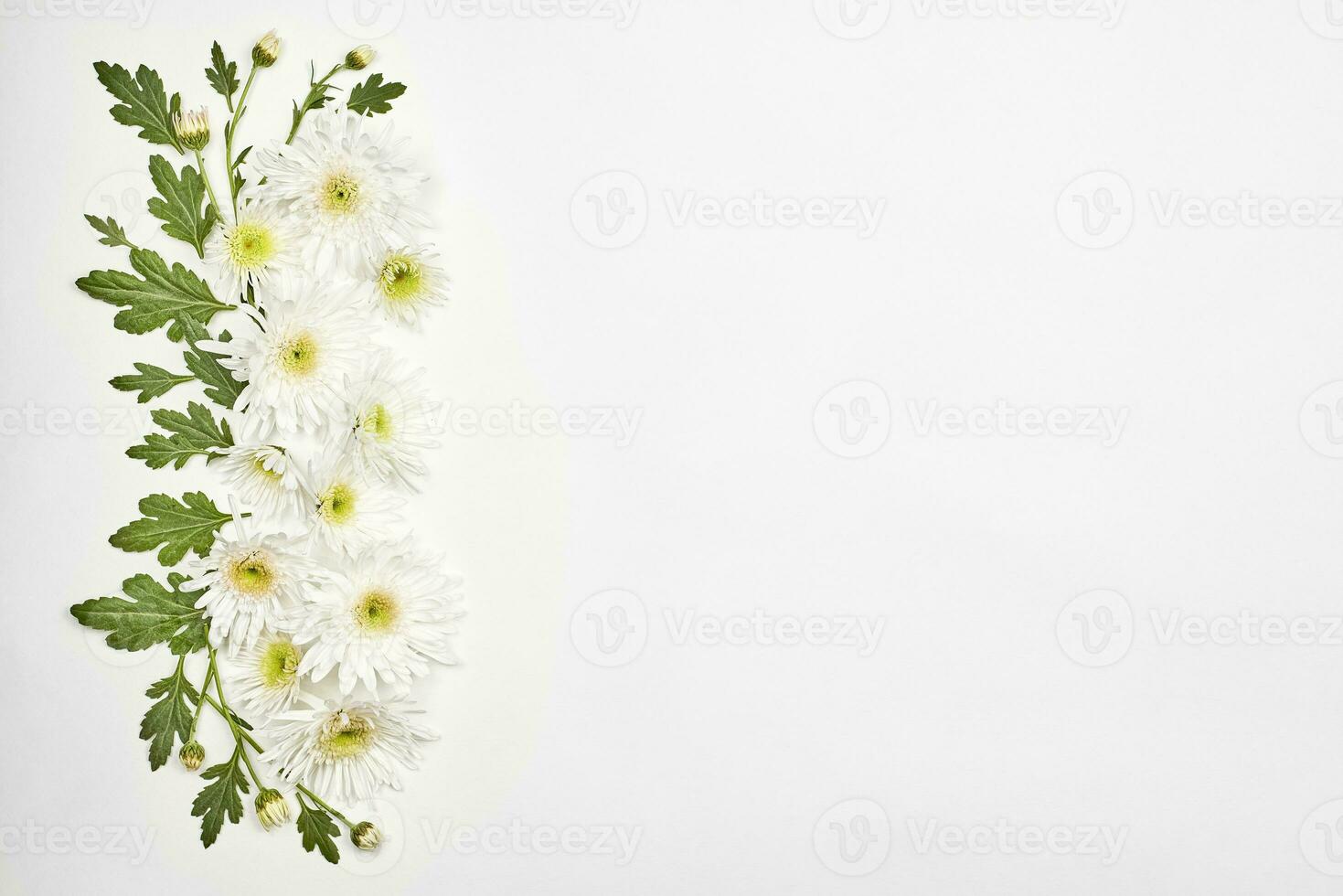 Bright spring flowers on white photo