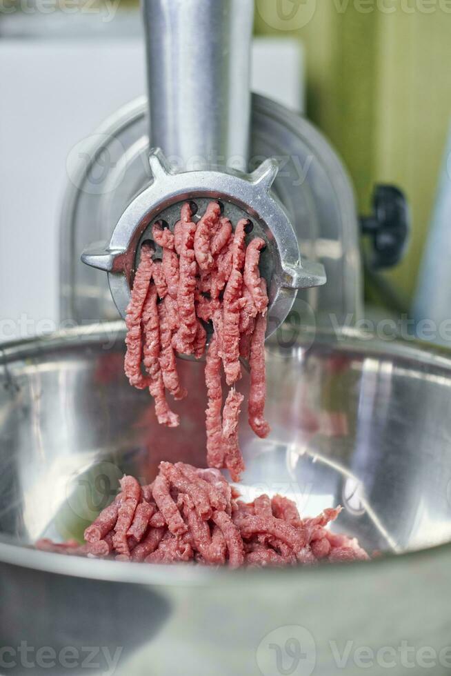 Electric meat grinder photo