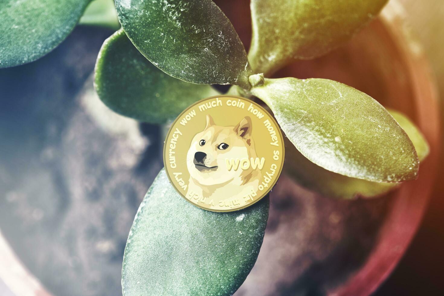 Investing money in cryptocurrency photo