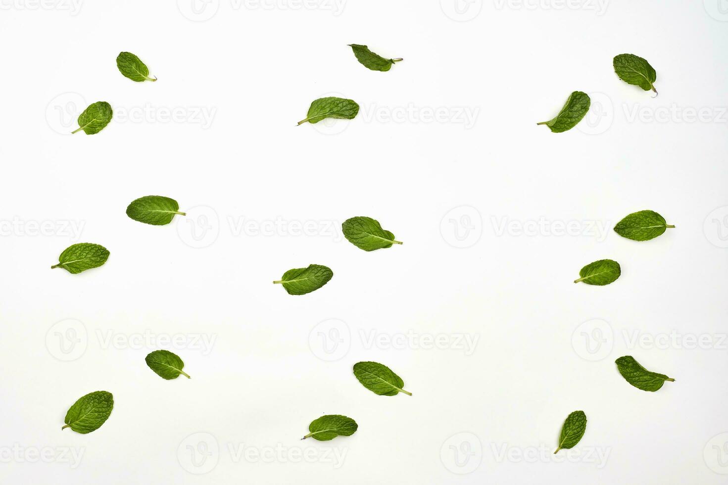 Fresh mint leaves on white photo