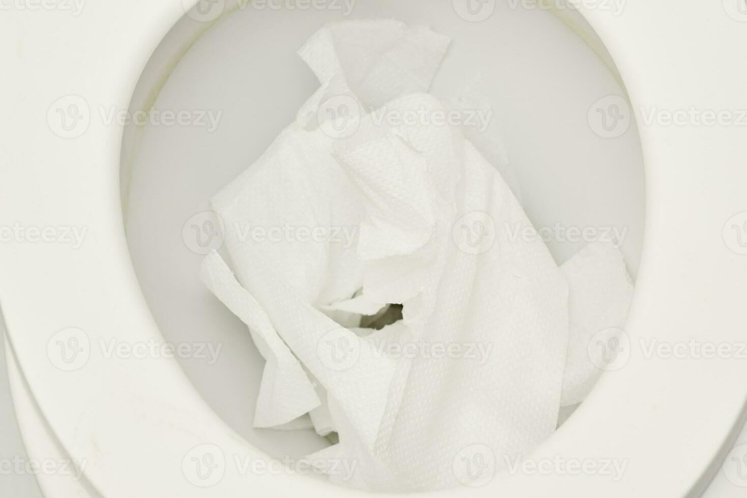 Toilet papper in toilet photo