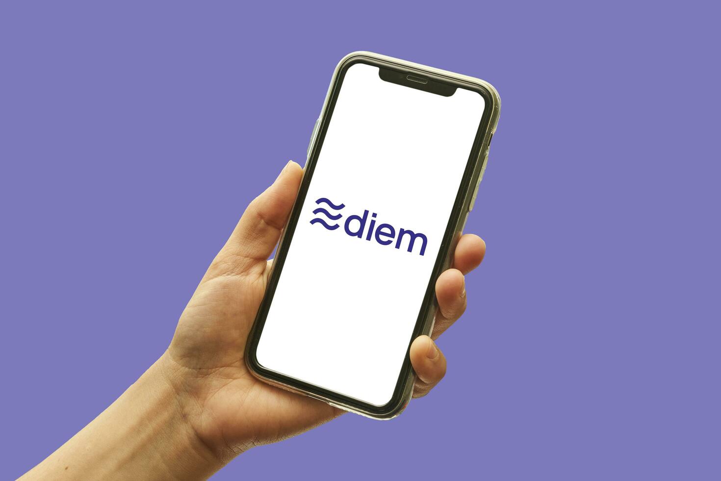 Hand holds mobile phone with diem logo photo