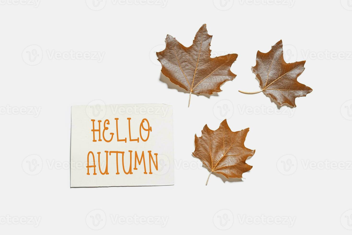 Hello autumn concepts with fall leaves photo