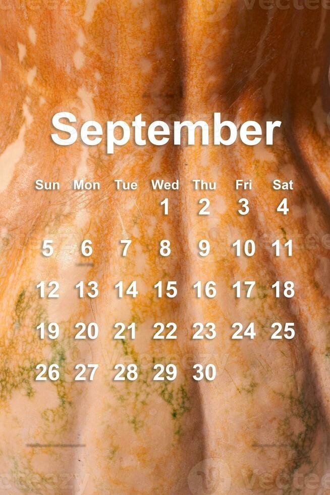 Pumpkin surface and monthly calendar photo