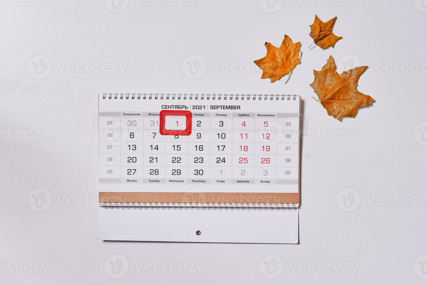 September 2021 monthly calendar and fall leaves photo