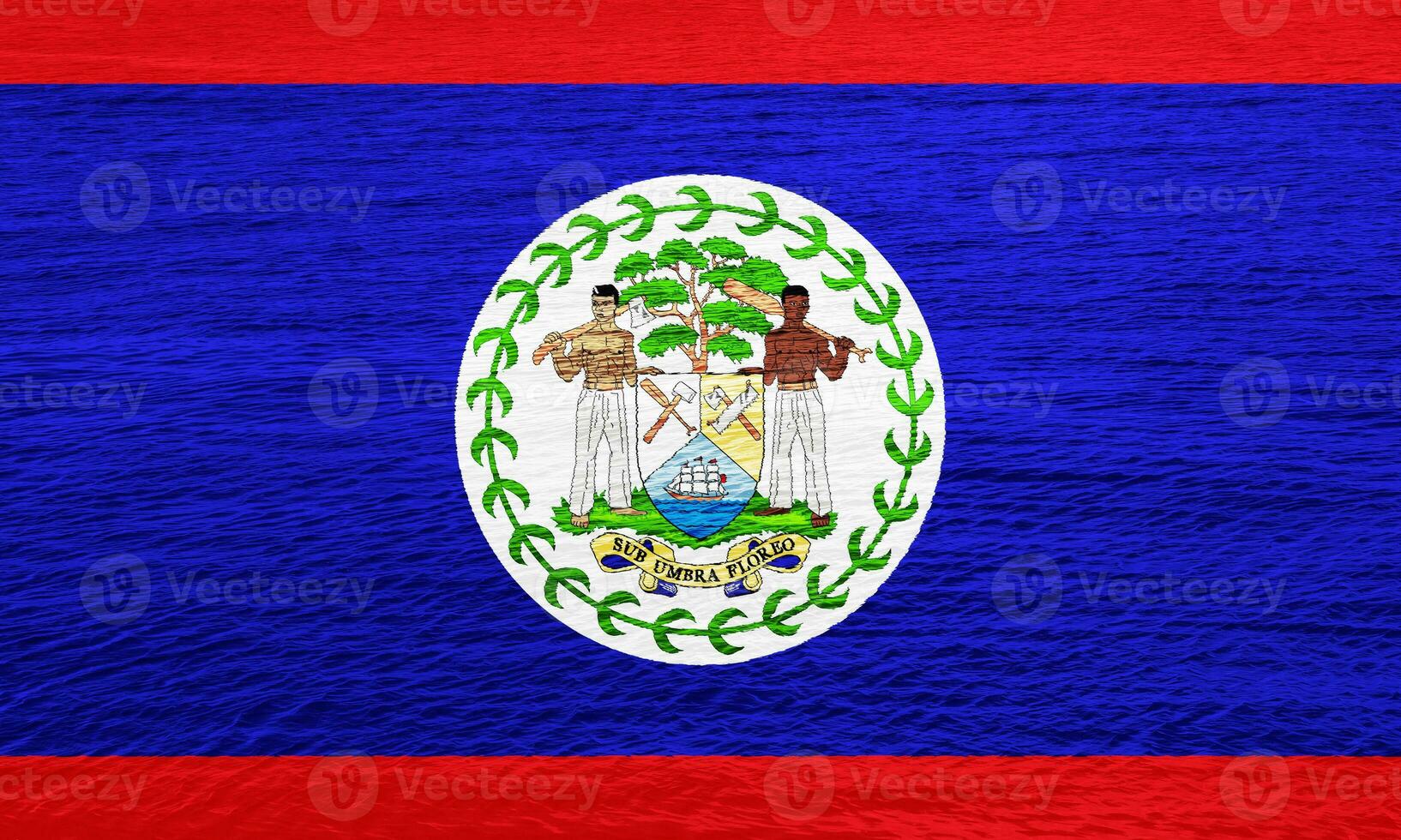Flag and coat of arms of Belize on a textured background. Concept collage. photo