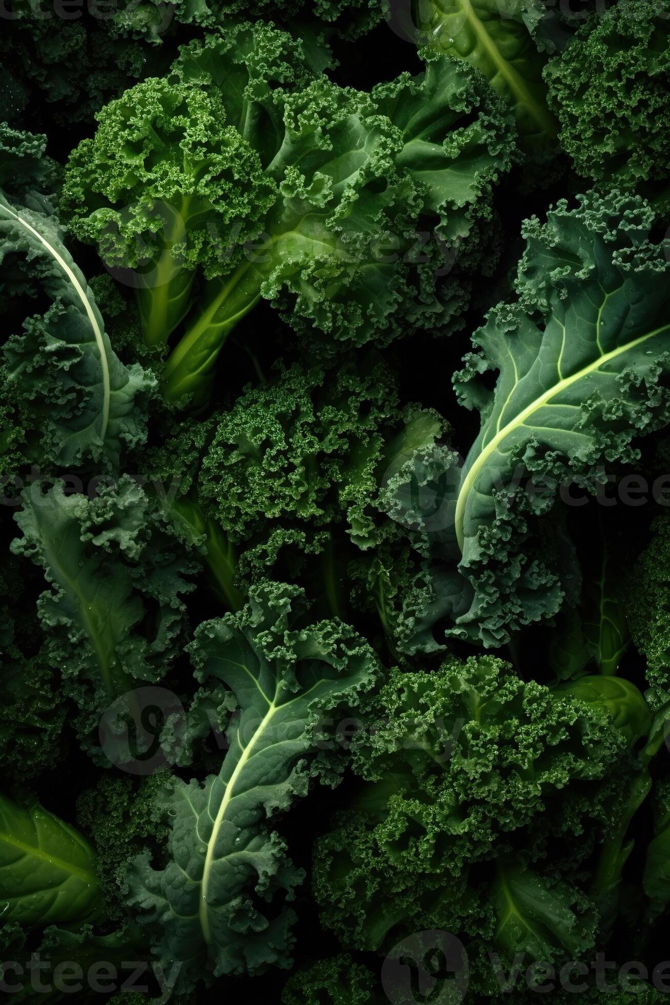 Realistic photo of a bunch of kale. top view vegetables scenery. AI