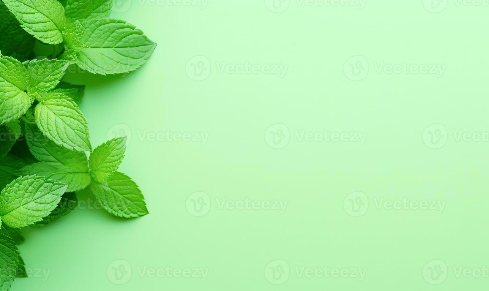 Fresh meadow mint leaves twig on a pastel green background. Created by AI photo