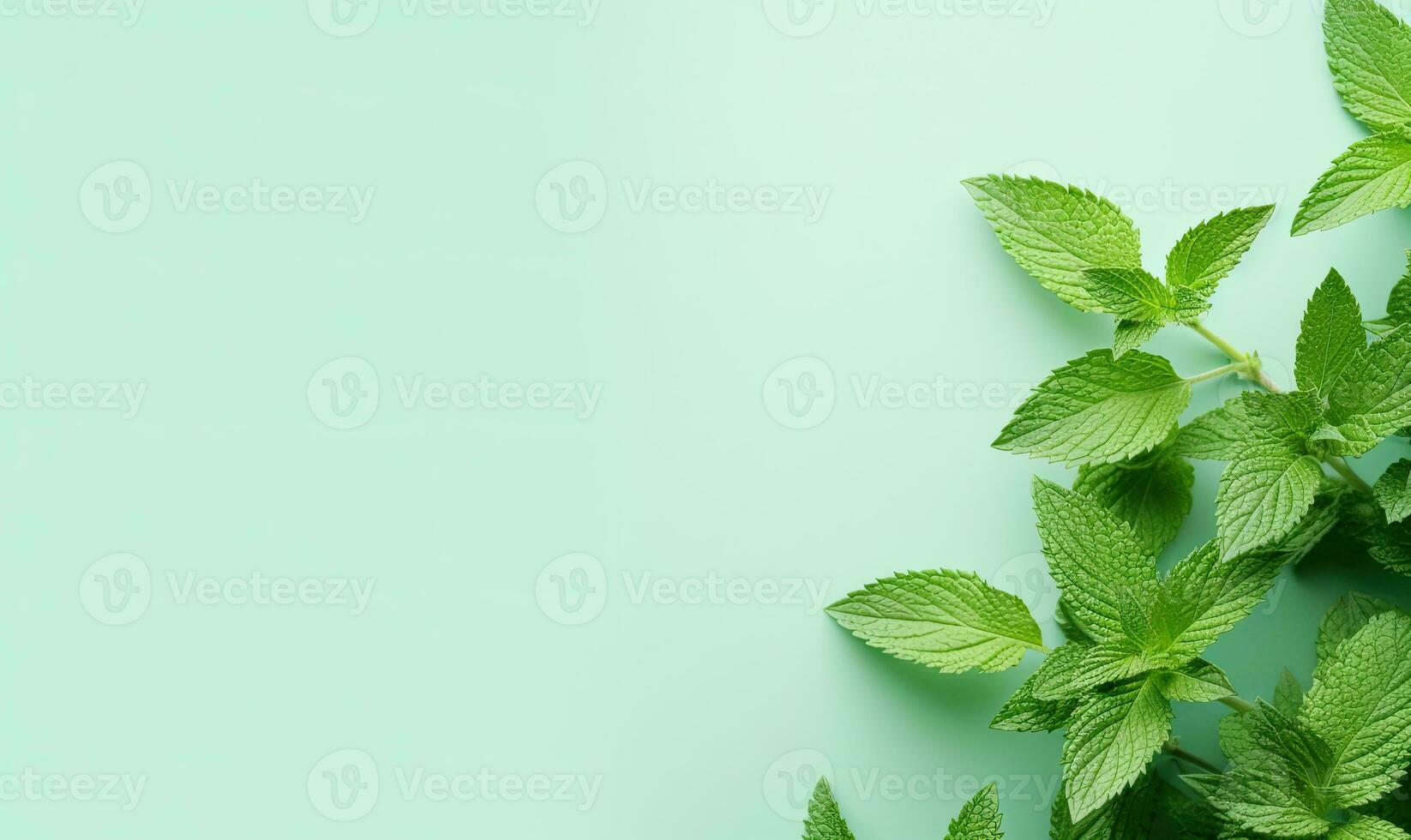 Fresh meadow mint leaves twig on a pastel green background. Created by AI photo