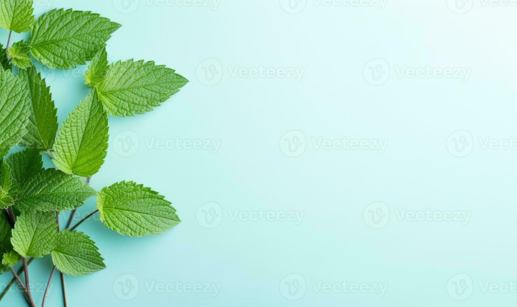 Fresh meadow mint leaves twig on a pastel blue background. Created by AI photo