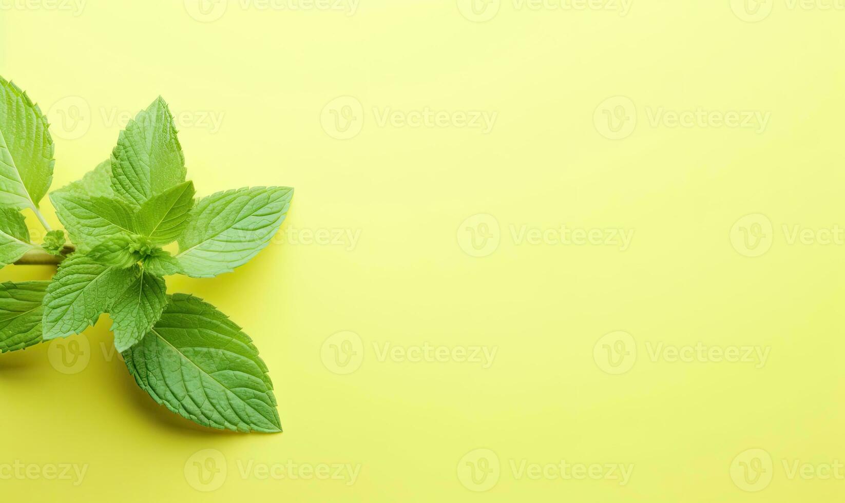Fresh meadow mint leaves twig on a pastel yellow background. Created by AI photo