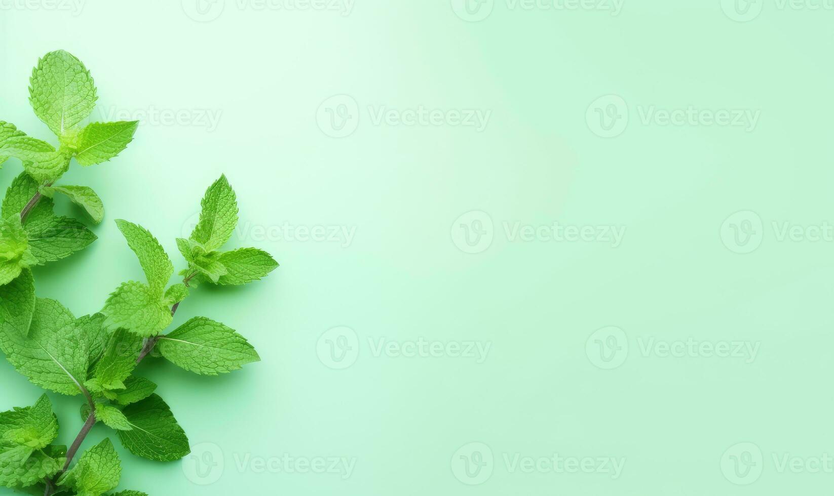 Fresh meadow mint leaves twig on a pastel green background. Created by AI photo