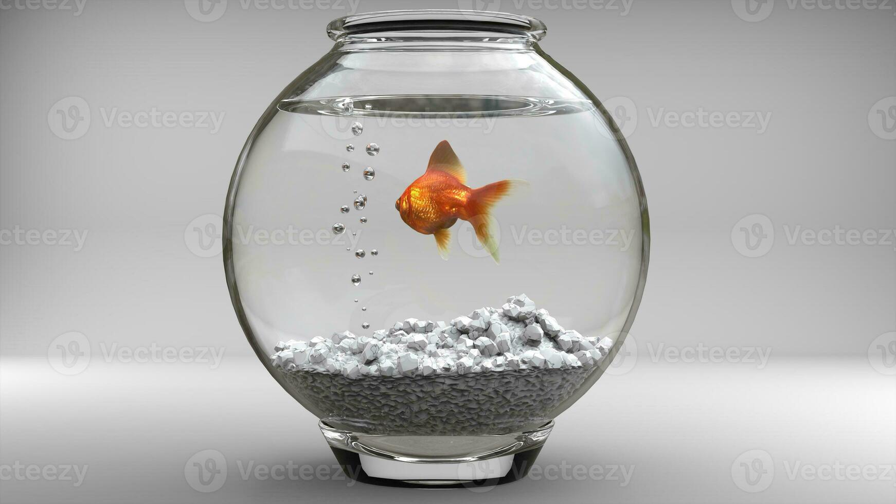 Gold fish in a fishbowl - bubbles - studio shot photo