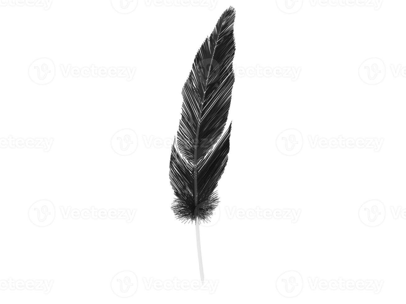 Black bird feather on transparent stalk photo