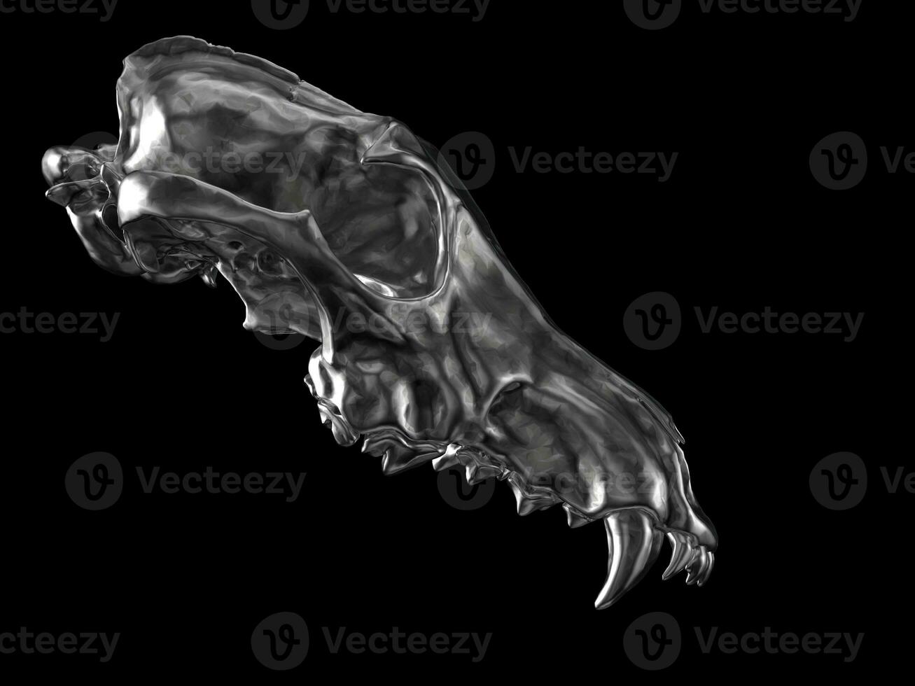 Dark metal wolf skull - upper jaw part only - side view photo