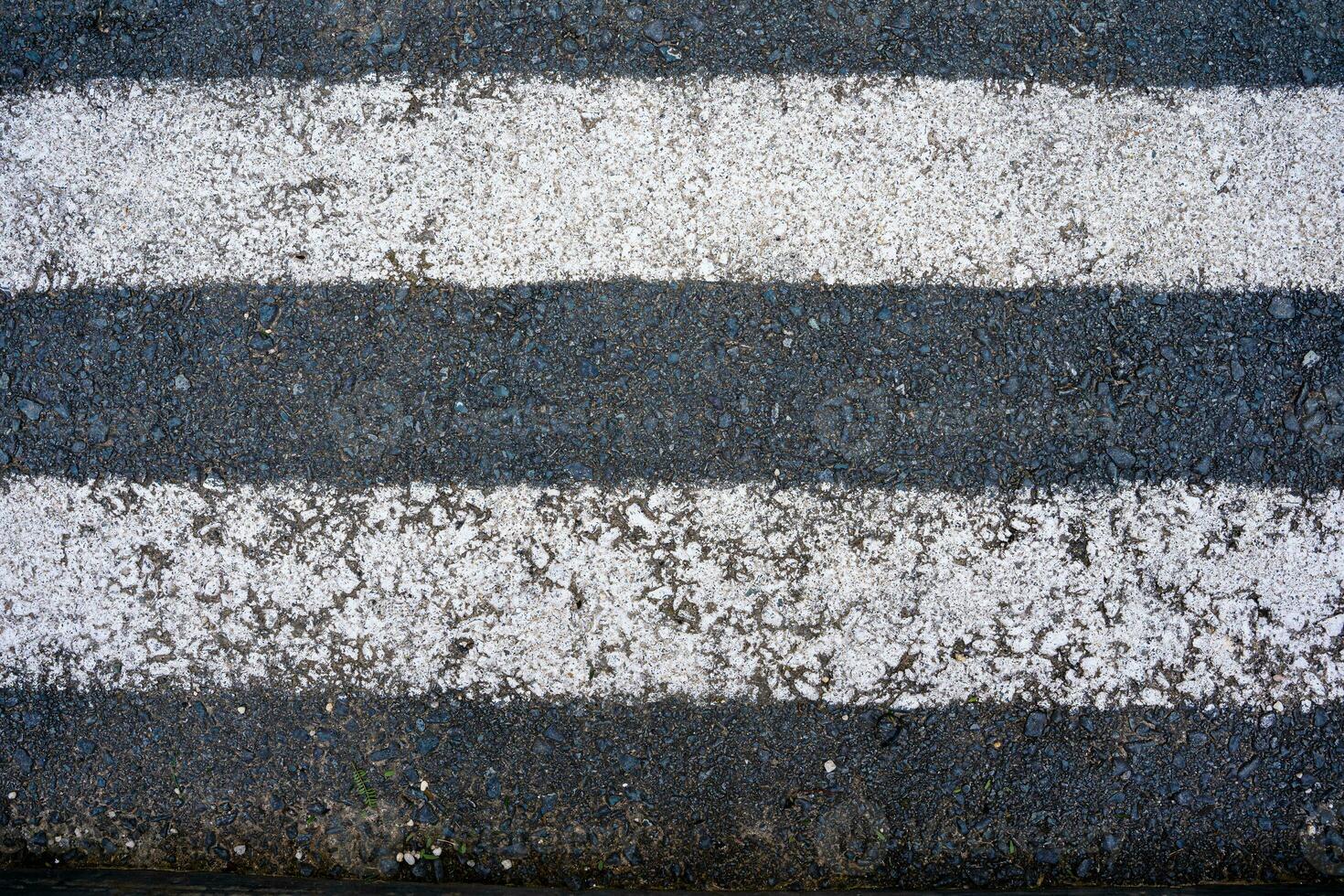 pedestrian crossing, white stripes on black asphalt, road markings zebra crossing, place to cross the road, traffic rules photo