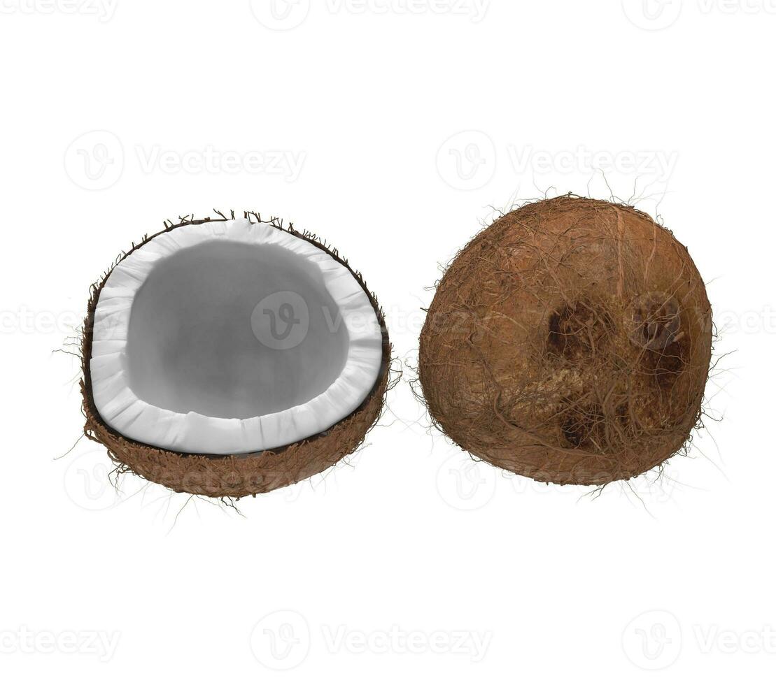 Coconuts Front View photo