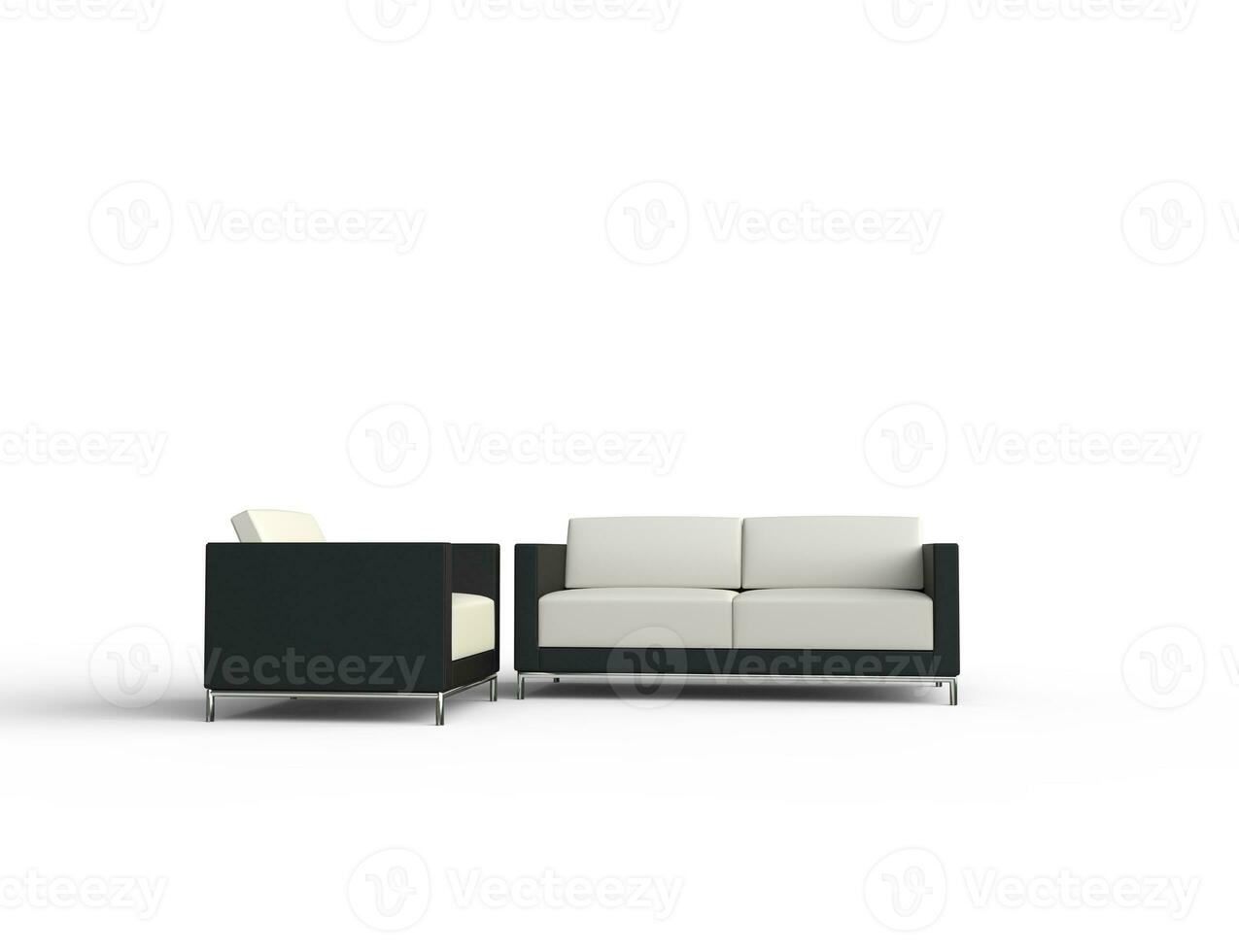 White And Black Living Room Furniture photo
