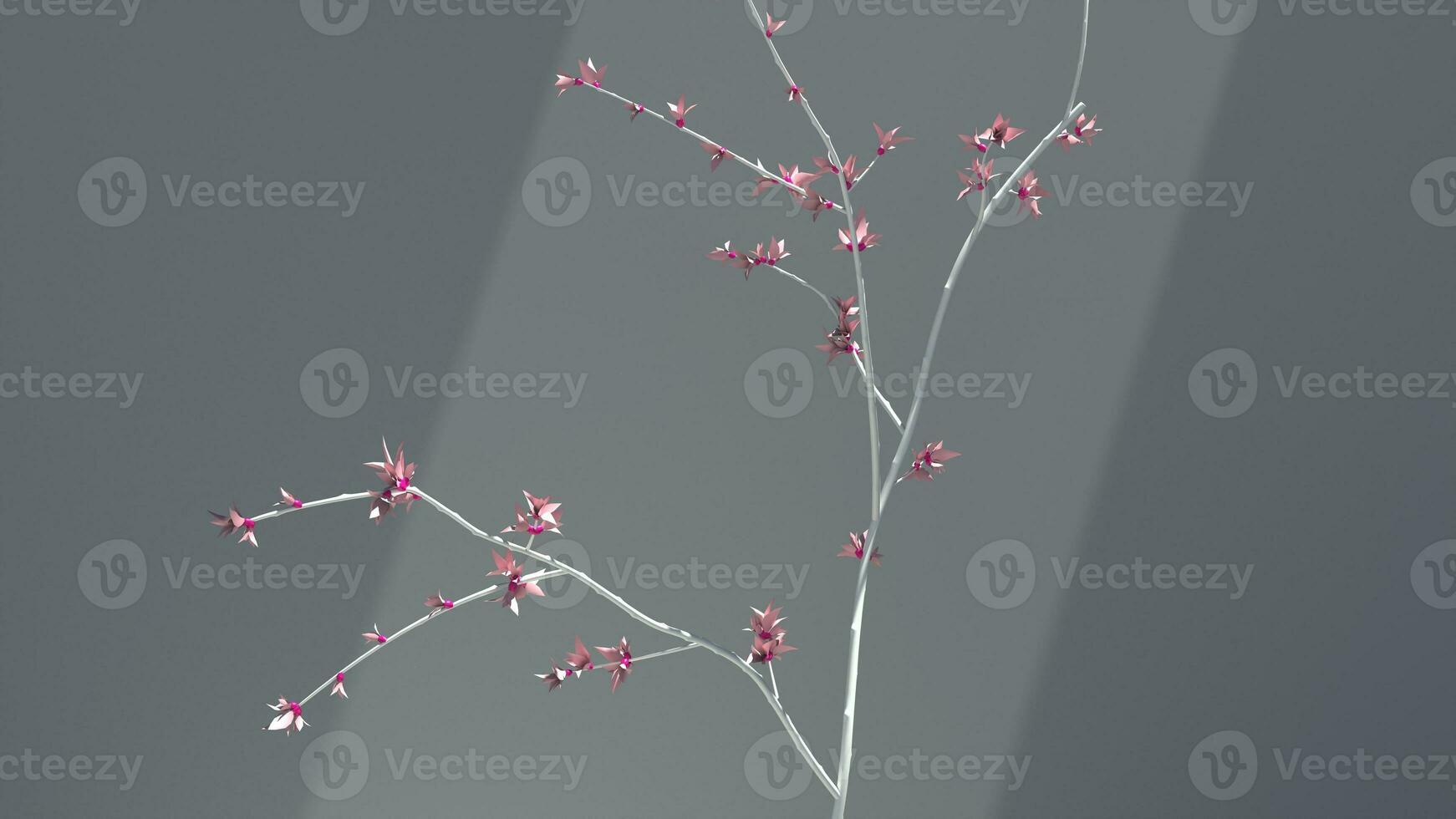 White branch with small pink cherry flowers in a subtle light gray background photo