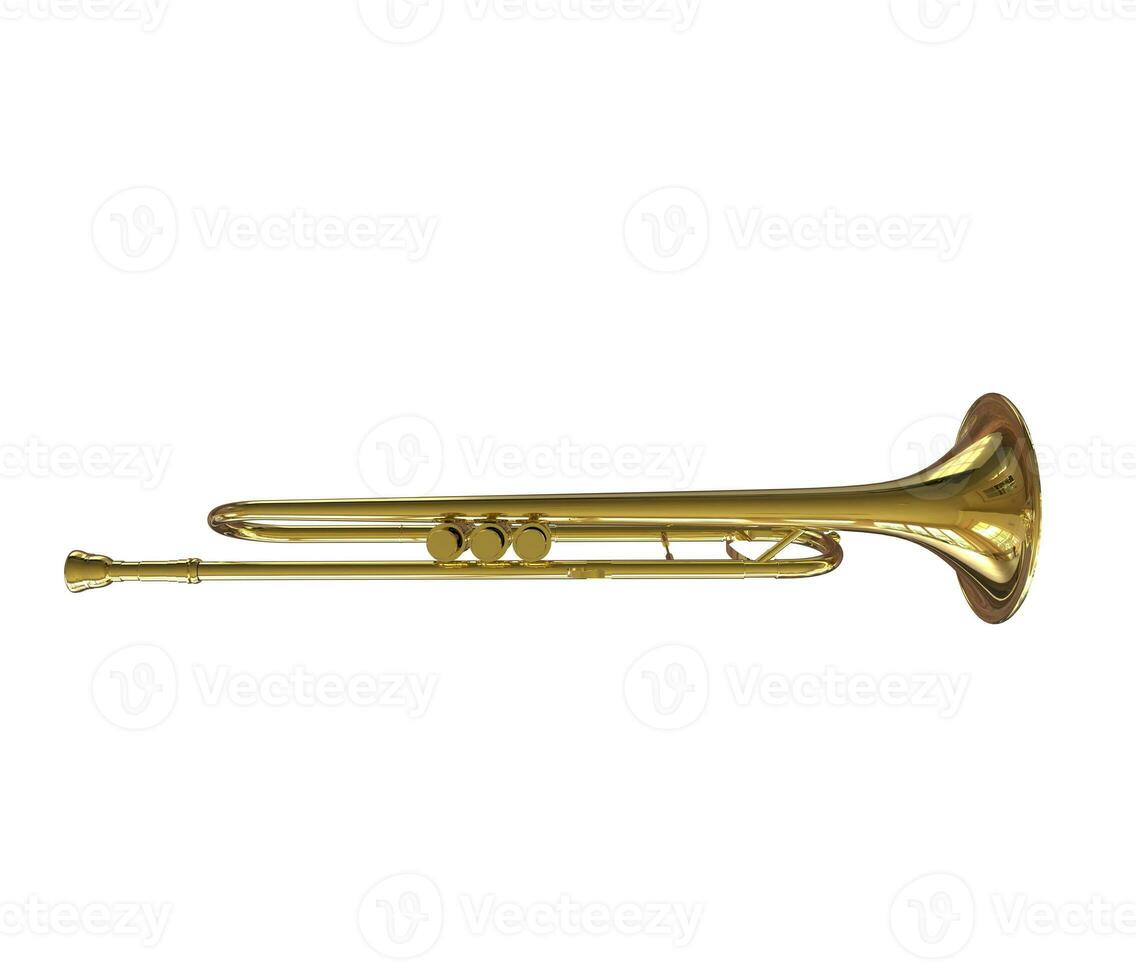 Trumpet Top View photo