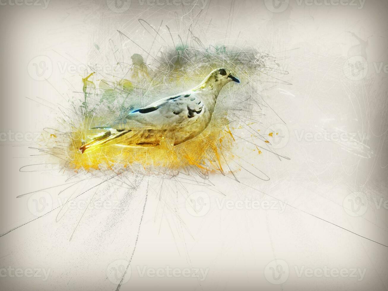 Abstract pigeon illustration - light photo