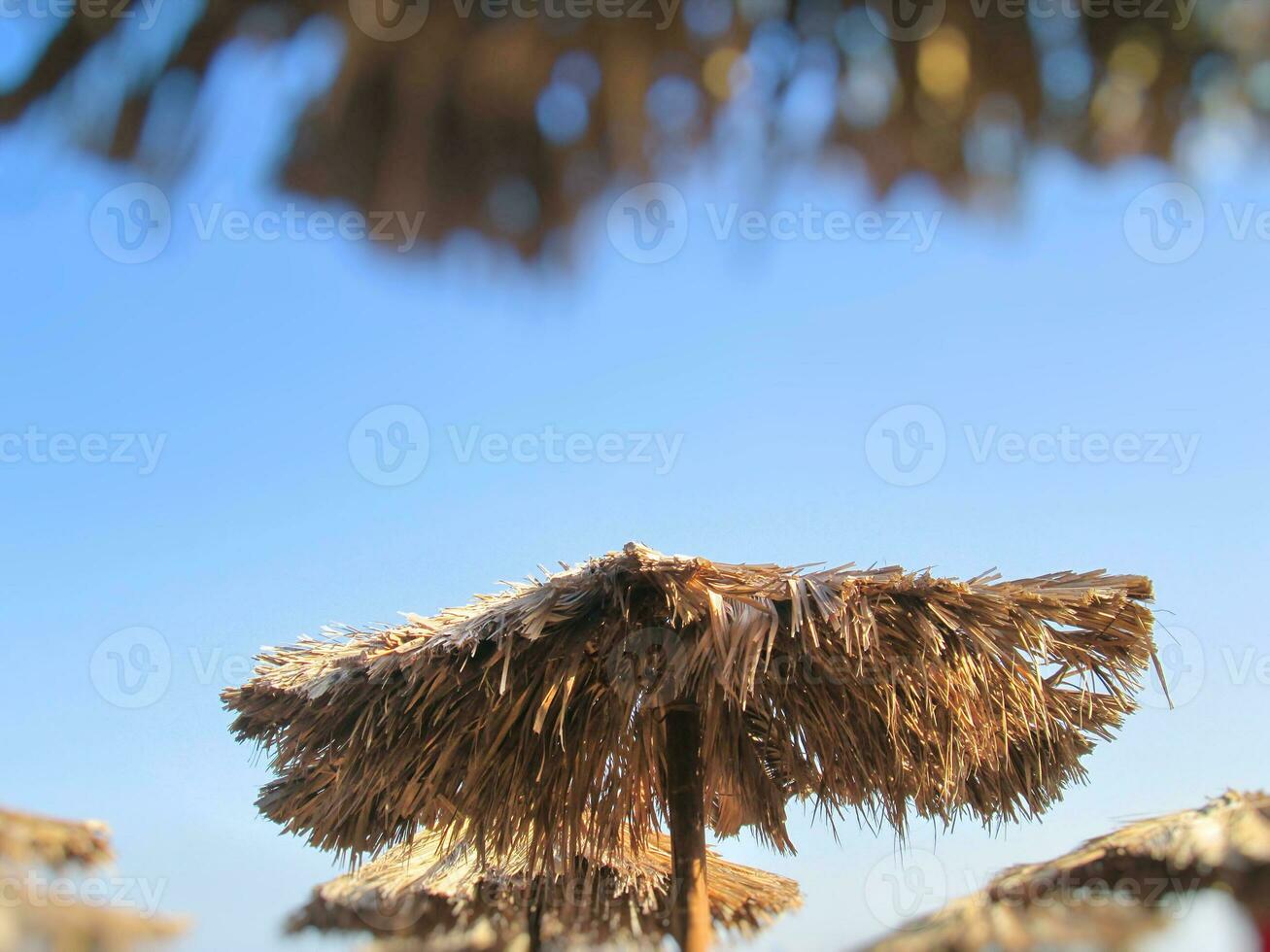 Straw beach umbrellas photo