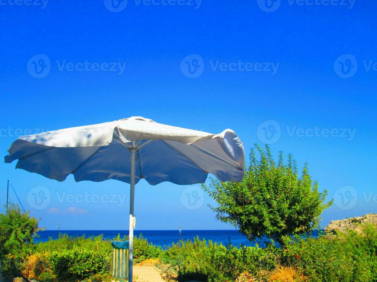 blanco sombrilla en el viento foto