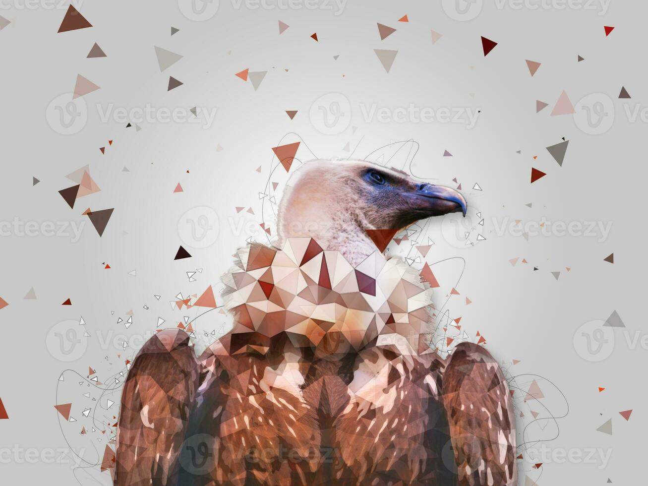 Cape Griffon Vulture - low poly effect - abstract illustration photo