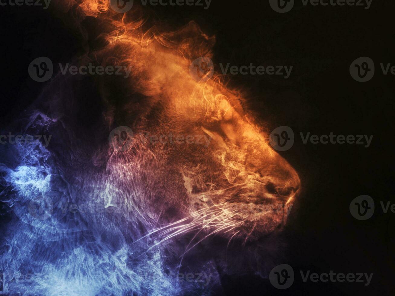 Lioness abstract smoke illustration - blue and orange smoke photo