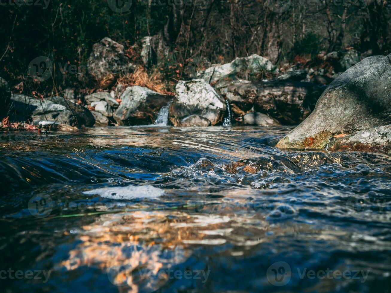 Mountain creek, closeup shot of the cool water photo