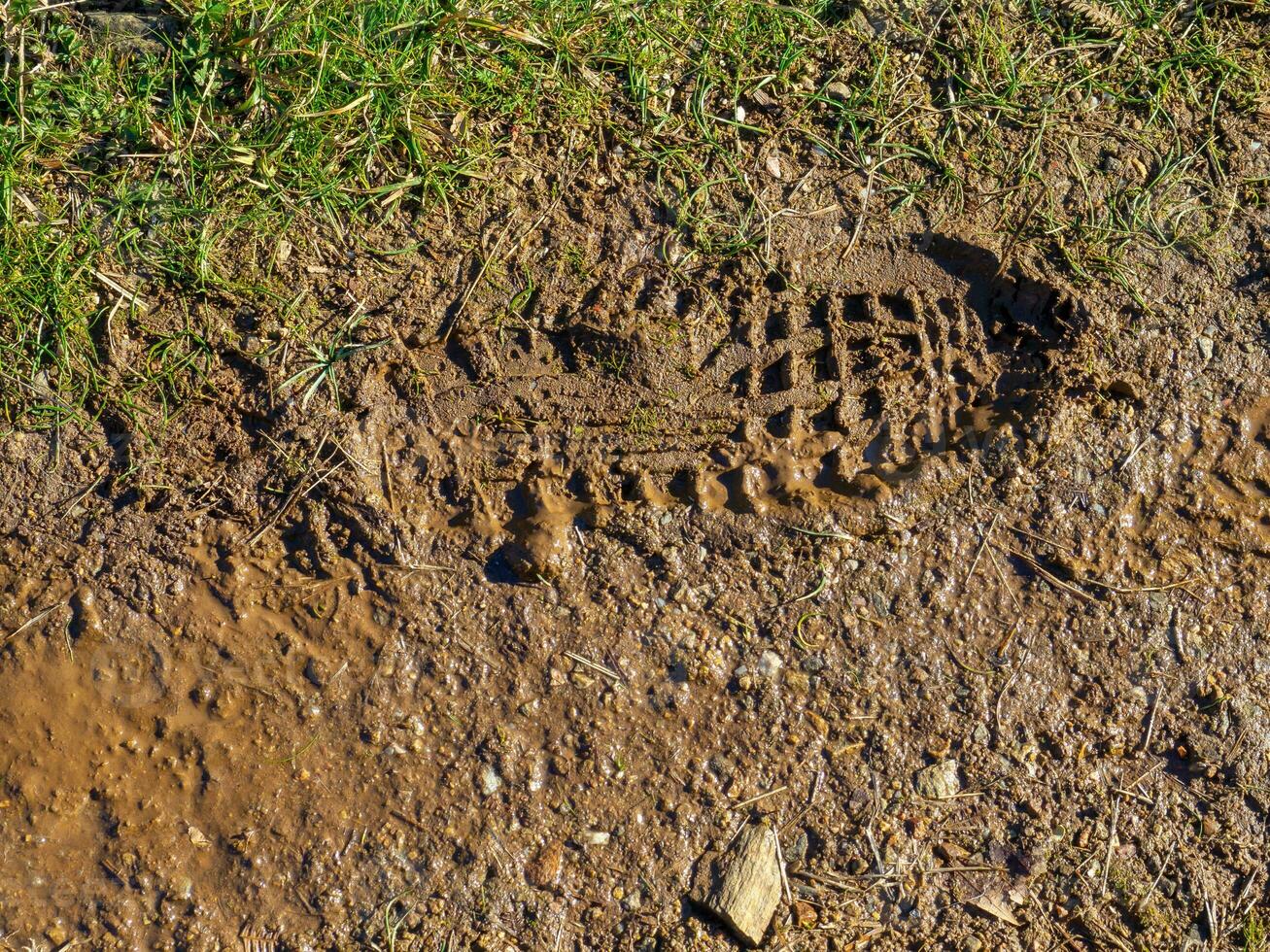 Footprint in the mud - grass and mud texture photo