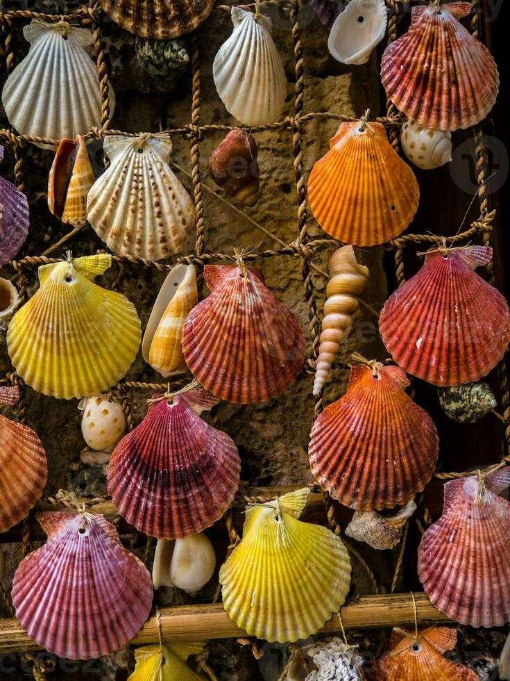 hermosa mar conchas atado a un cuerda red - hecho en casa decoración foto