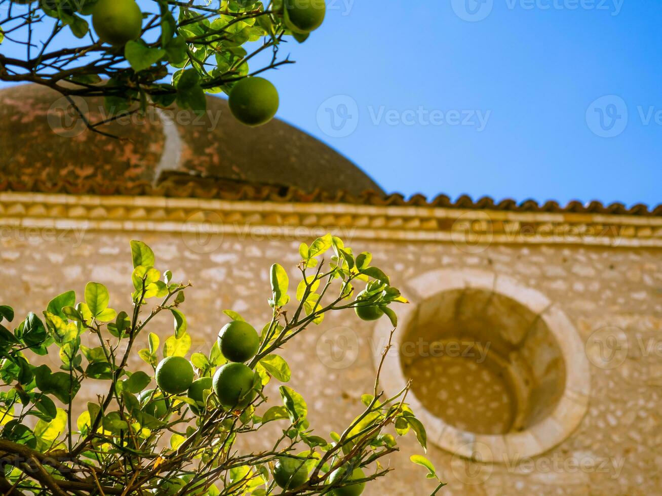 Limes growing in the yard of a old mosque photo