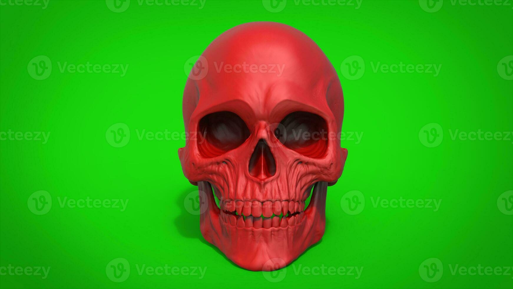 Beautiful red skull - 3D Illustration photo