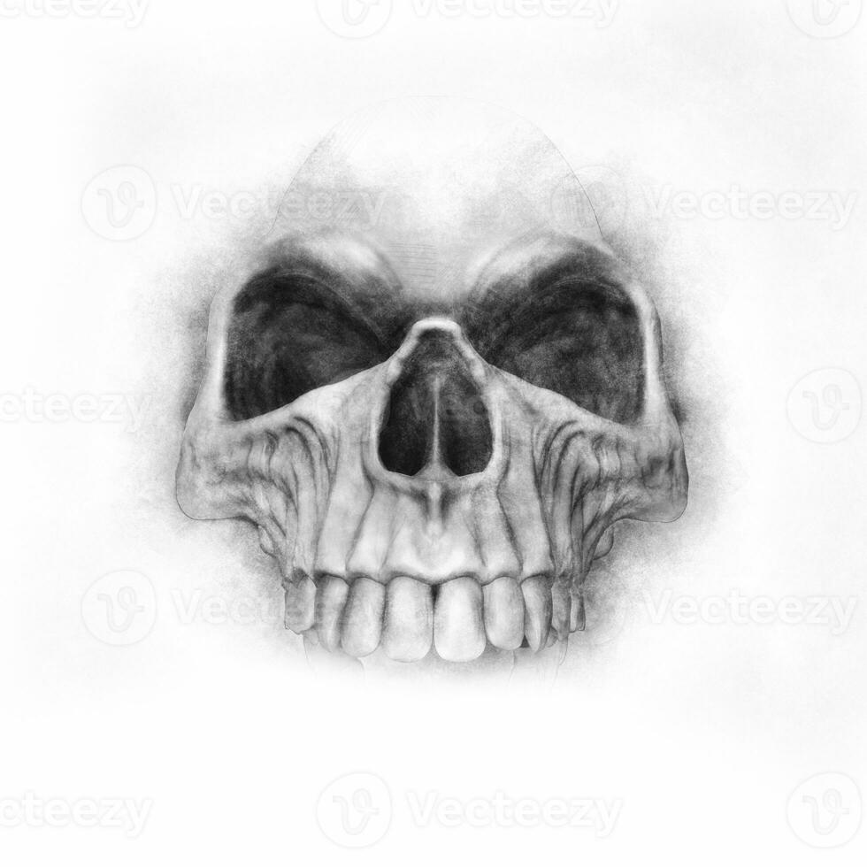 Hand drawn skull - graphite photo