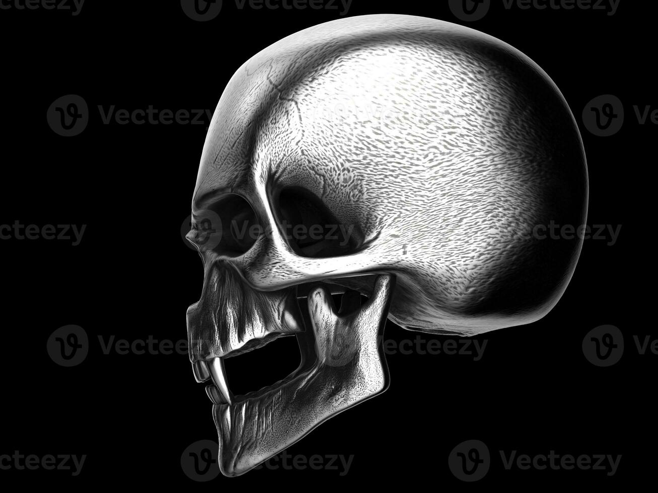 Old silver vampire skull - side view photo