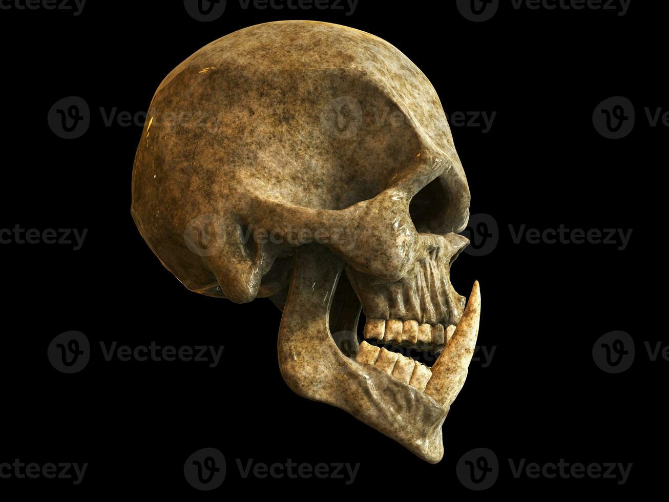 Demon orc skull with huge lower teeth - side view photo