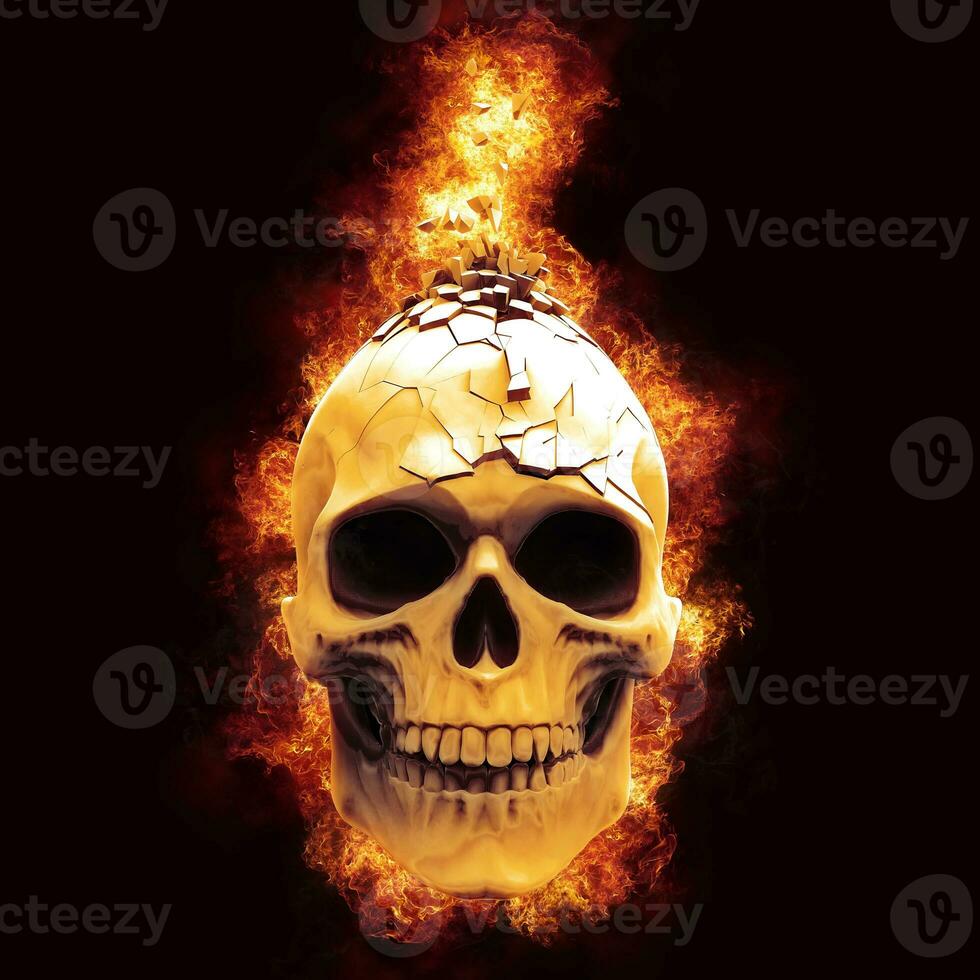 Skull on fire - top broken into dozen little pieces photo