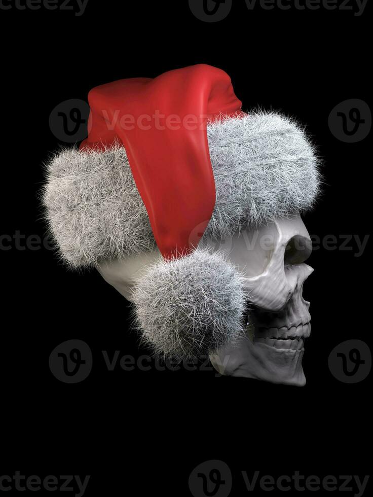 Grinning skull wearing a Santa hat - side view photo