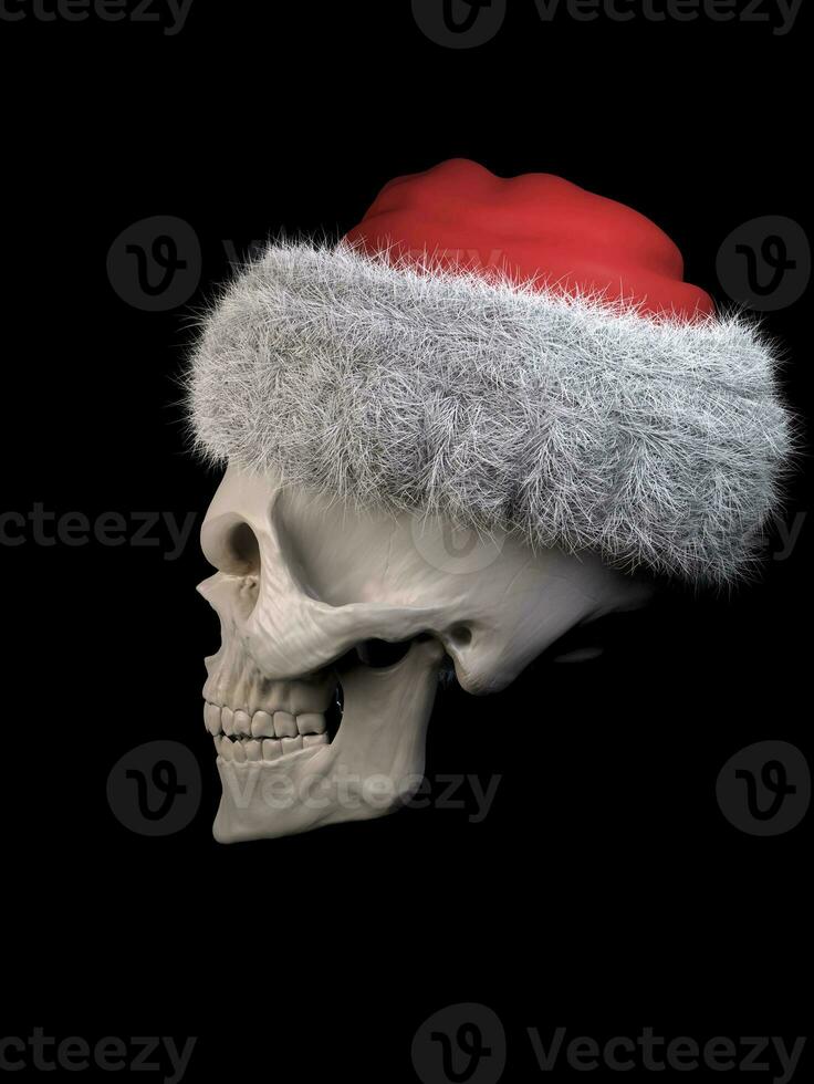 Grinning skull wearing a Santa hat - right side view photo