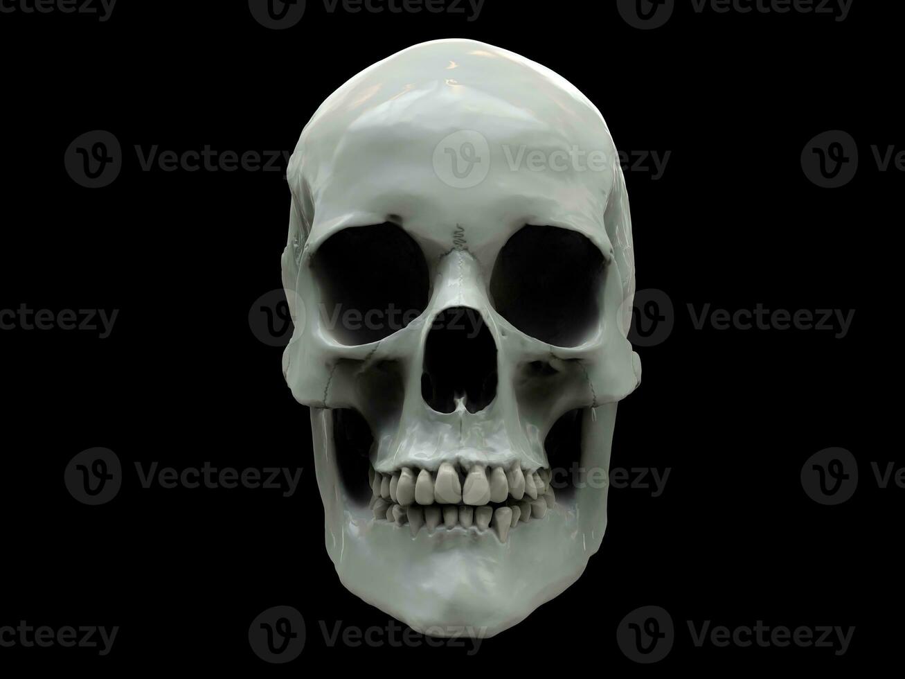 White shiny human skull on a black background photo