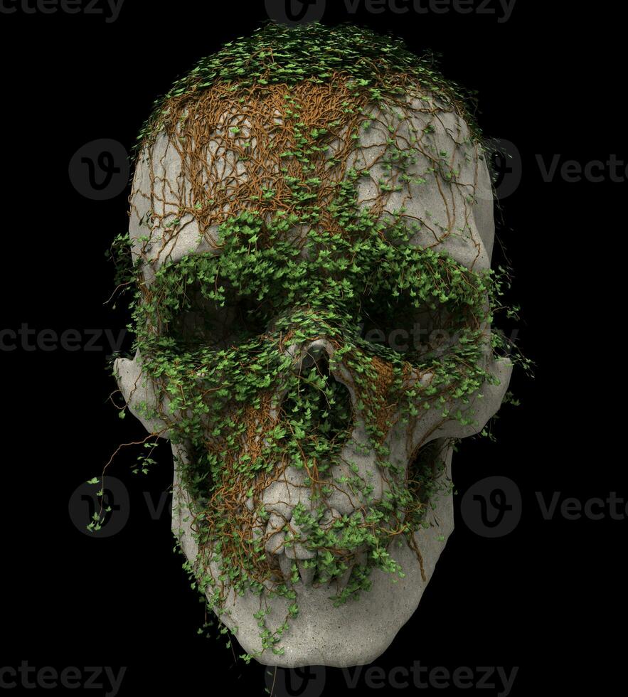 Skull made of stone with vines growing and covering it photo