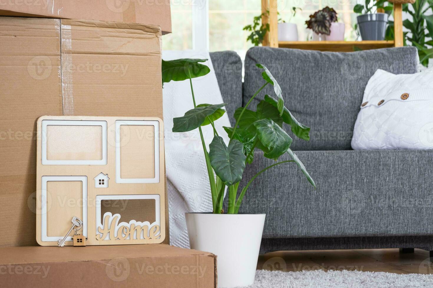 Boxes with things for moving and house plants are in the room of the new house. Housewarming, family property, cargo transportation and delivery of things photo