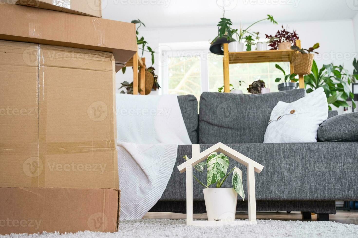 Boxes with things for moving and house plants are in the room of the new house. Housewarming, family property, cargo transportation and delivery of things photo