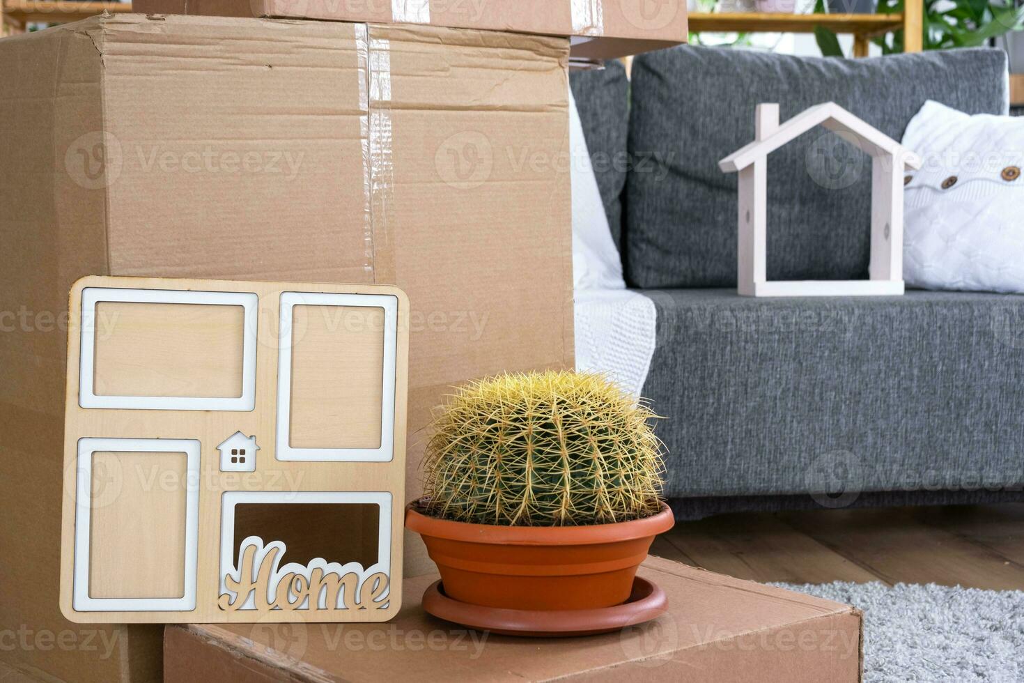 Boxes with things for moving and house plants are in the room of the new house. Housewarming, family property, cargo transportation and delivery of things photo