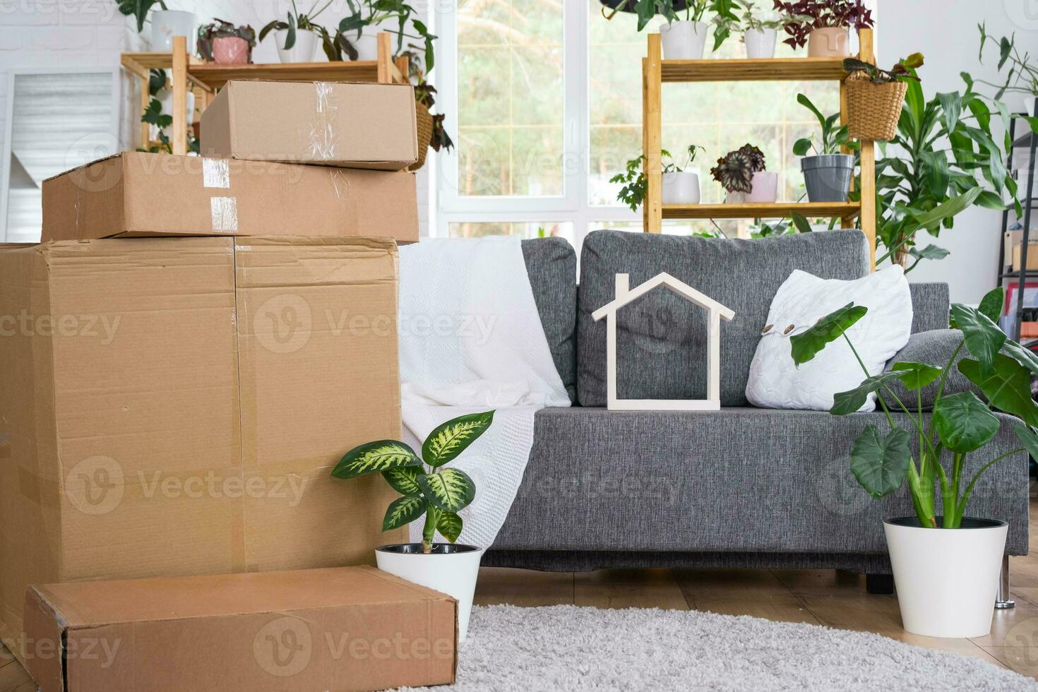 Boxes with things for moving and house plants are in the room of the new house. Housewarming, family property, cargo transportation and delivery of things photo