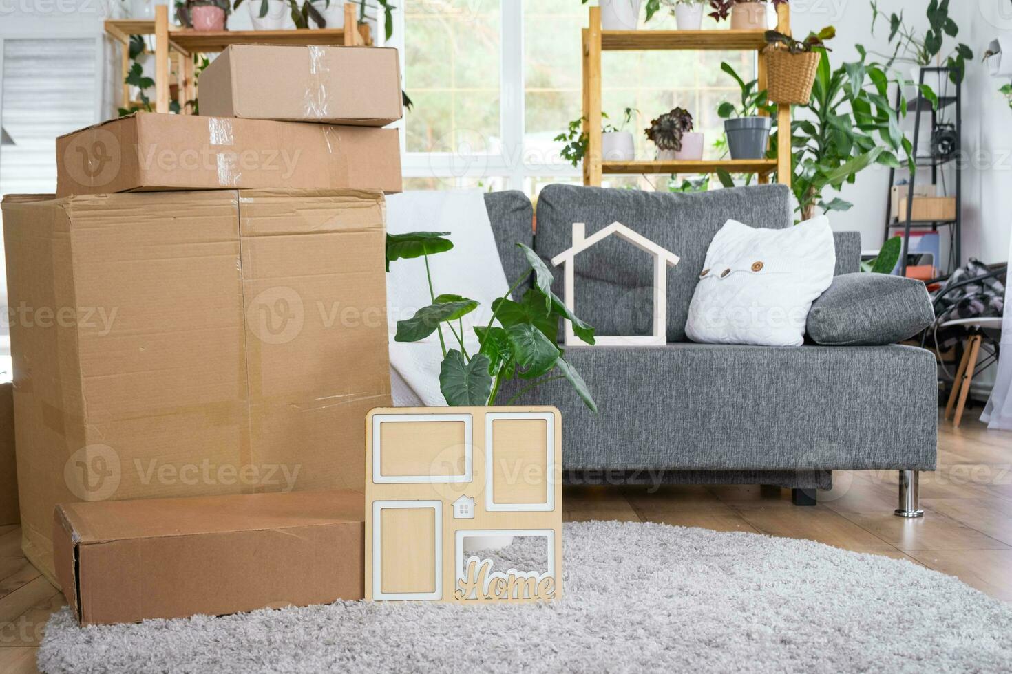 Boxes with things for moving and house plants are in the room of the new house. Housewarming, family property, cargo transportation and delivery of things photo