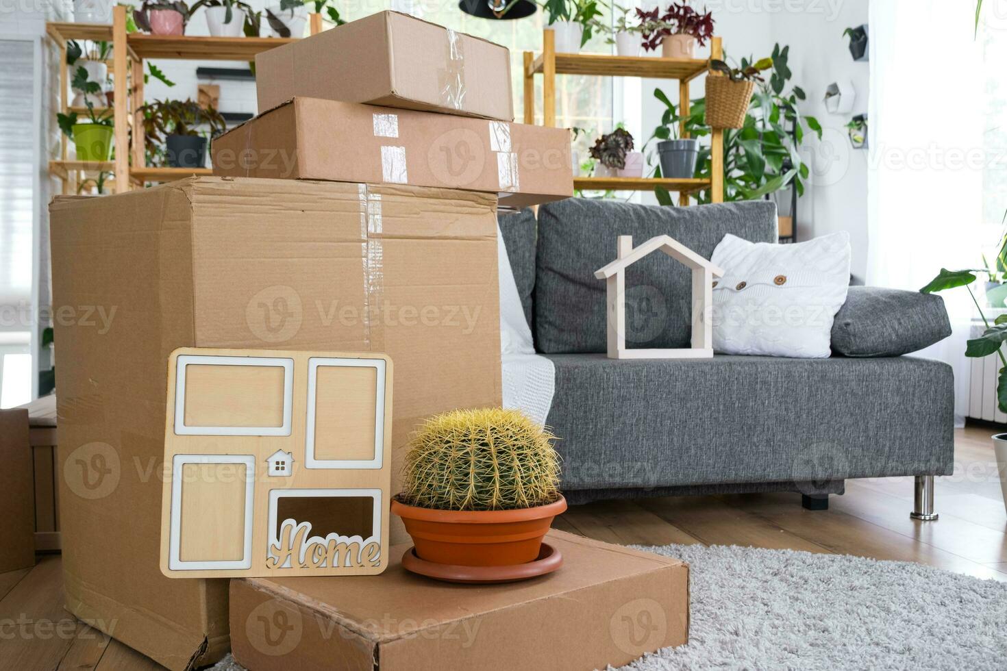 Boxes with things for moving and house plants are in the room of the new house. Housewarming, family property, cargo transportation and delivery of things photo