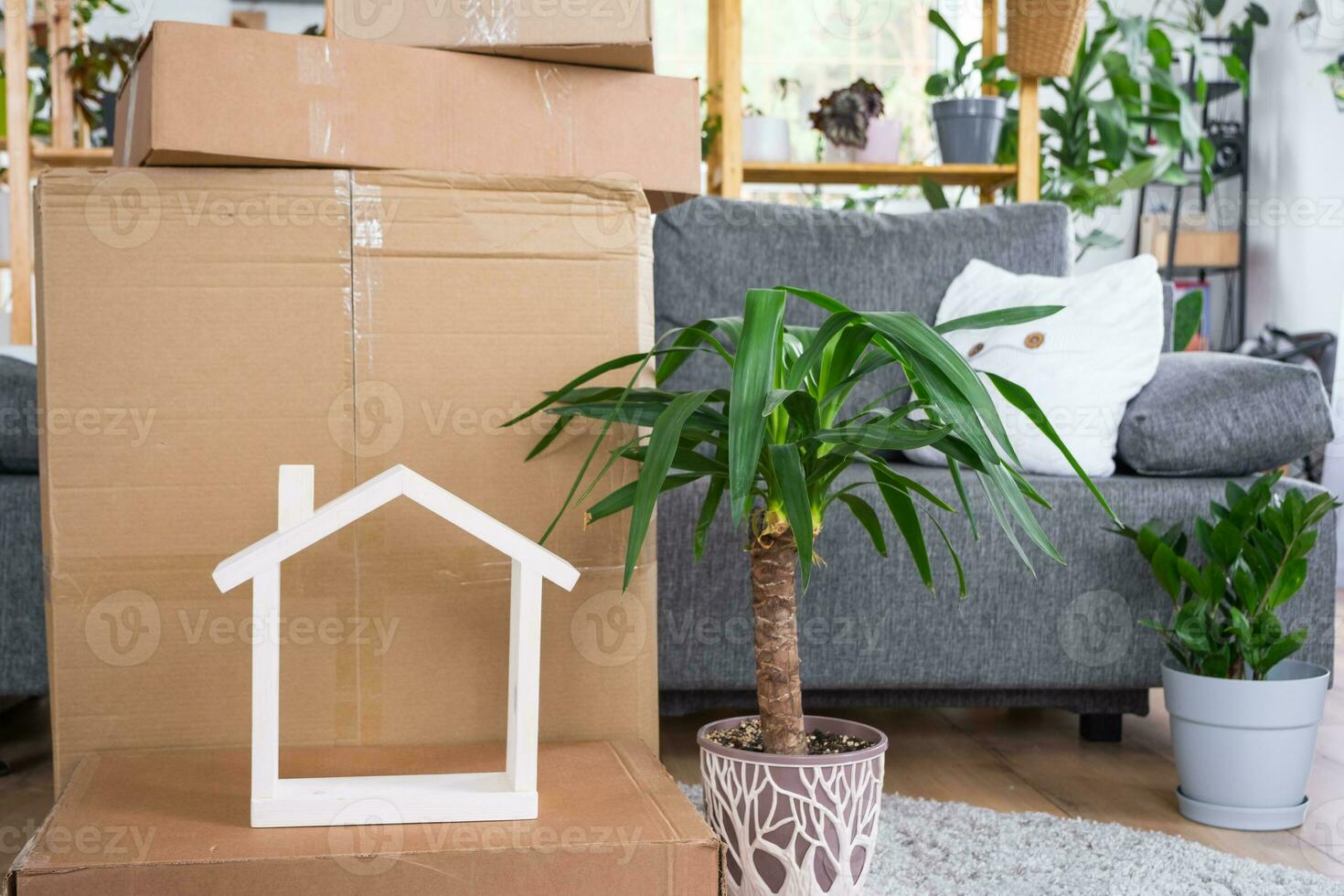 Boxes with things for moving and house plants are in the room of the new house. Housewarming, family property, cargo transportation and delivery of things photo