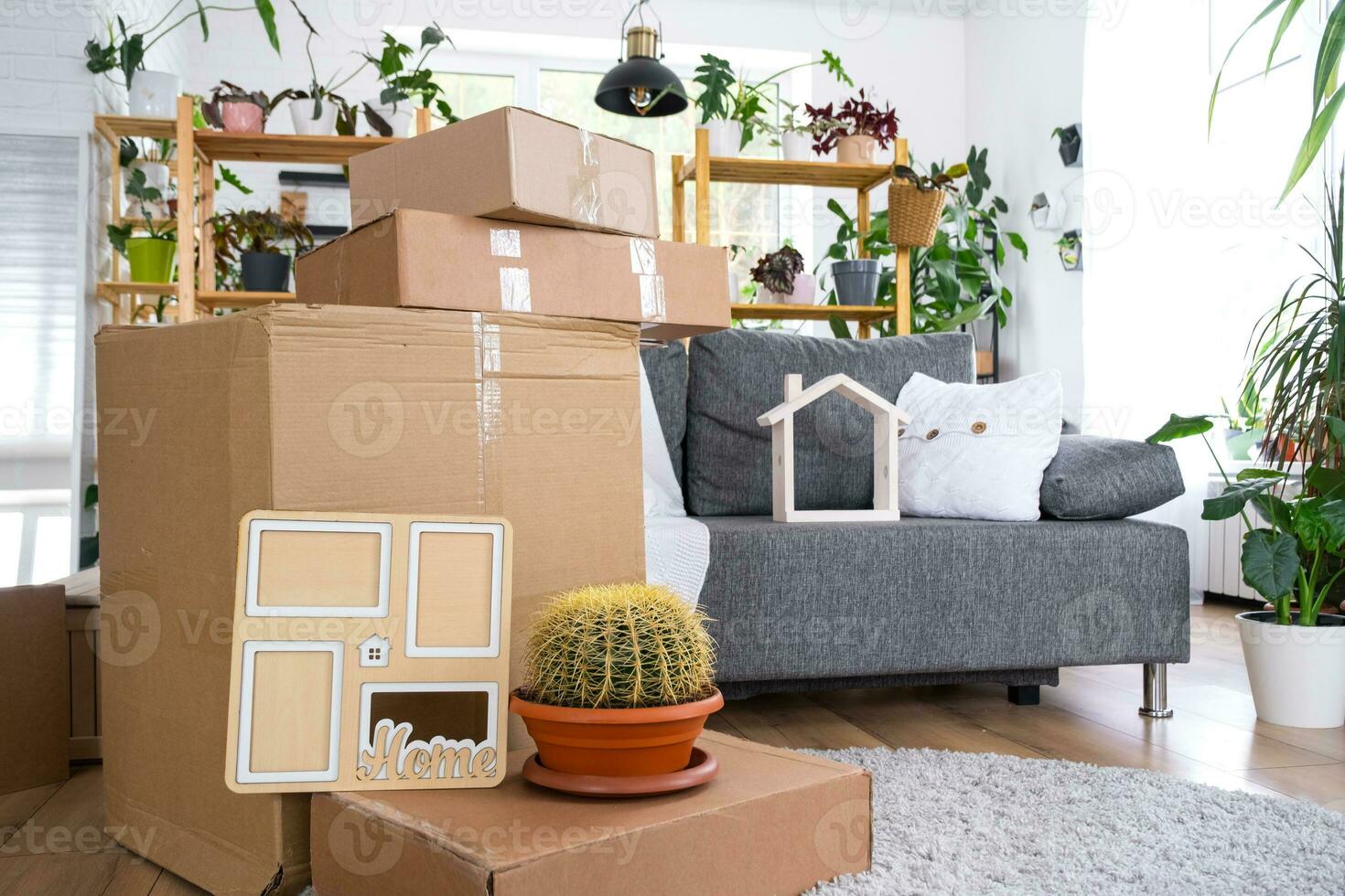 Boxes with things for moving and house plants are in the room of the new house. Housewarming, family property, cargo transportation and delivery of things photo